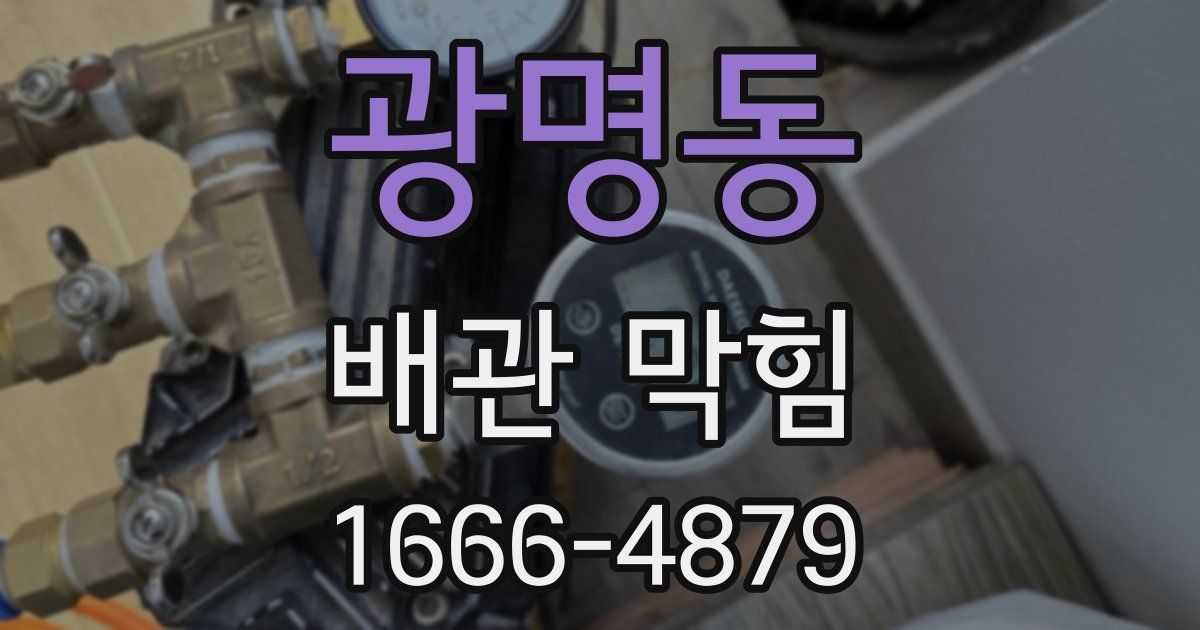 광명동 배관 막힘