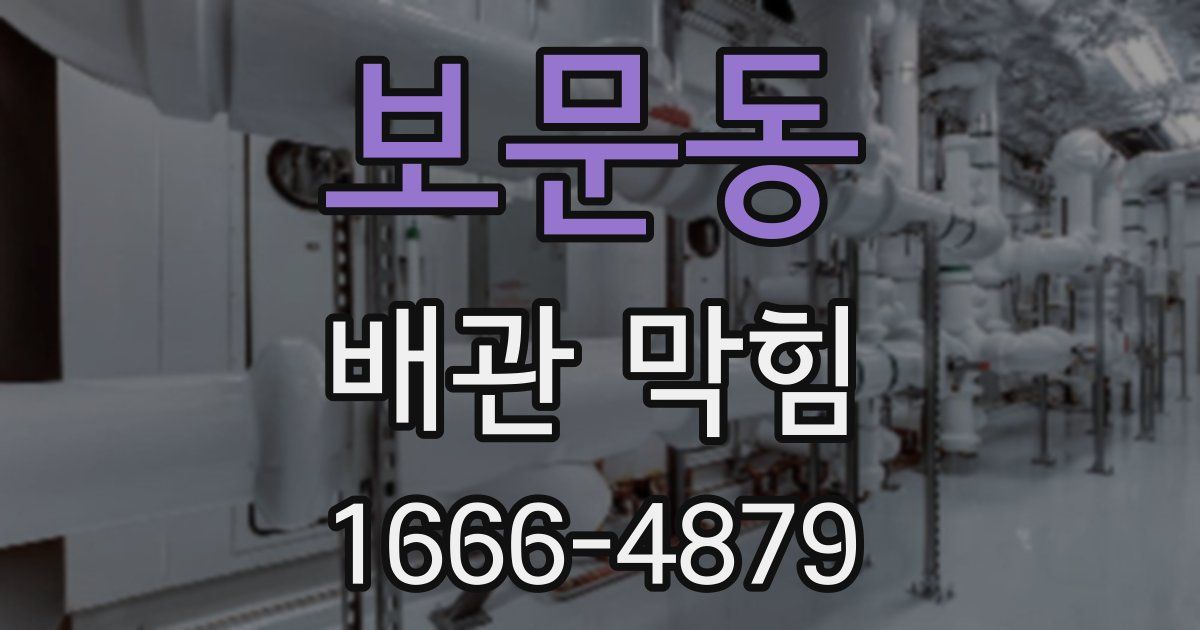 보문동 배관 막힘