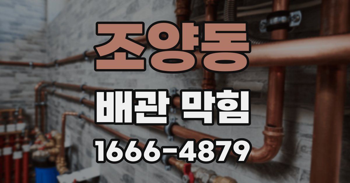 조양동 배관 막힘