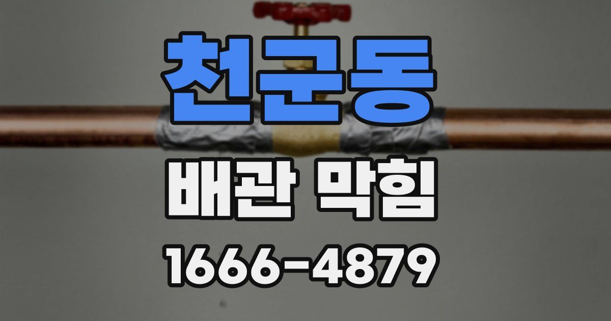 천군동 배관 막힘