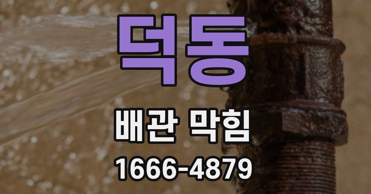 덕동 배관 막힘