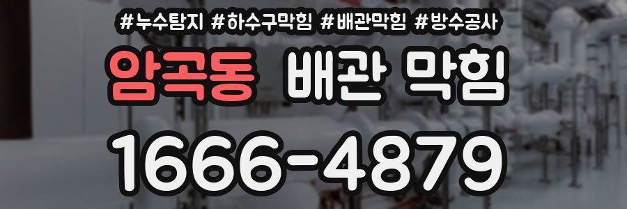암곡동 배관 막힘