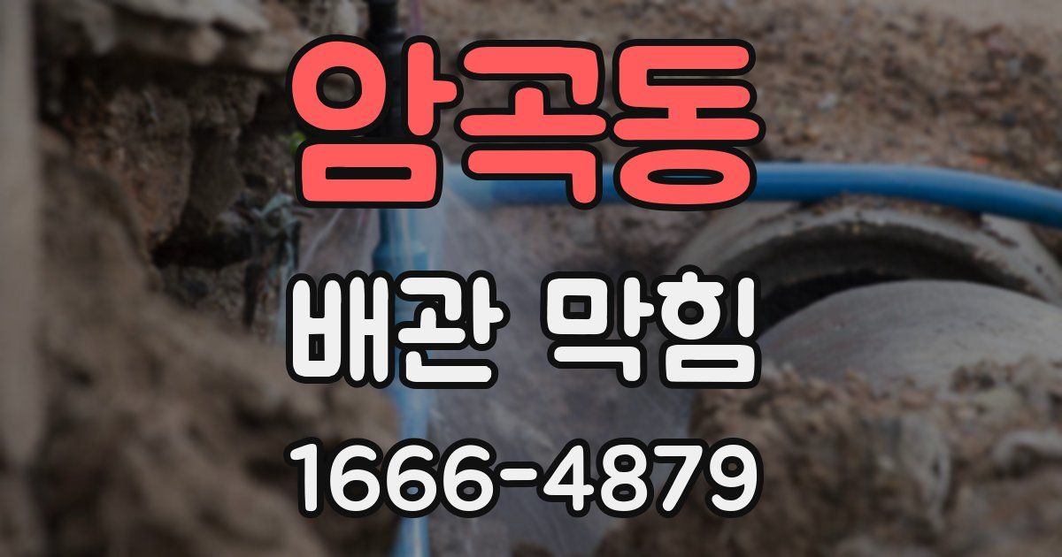 암곡동 배관 막힘
