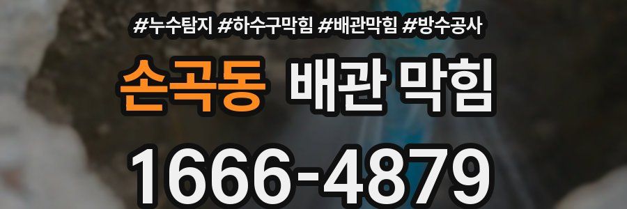 손곡동 배관 막힘