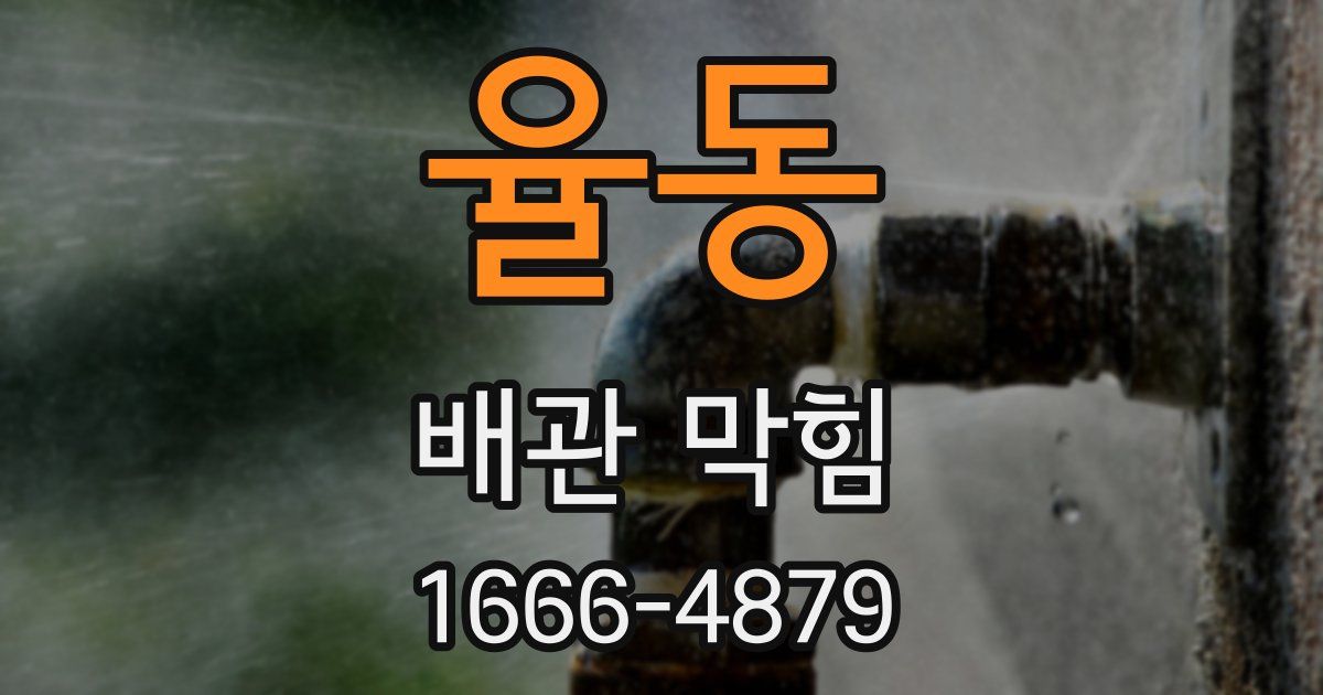 율동 배관 막힘