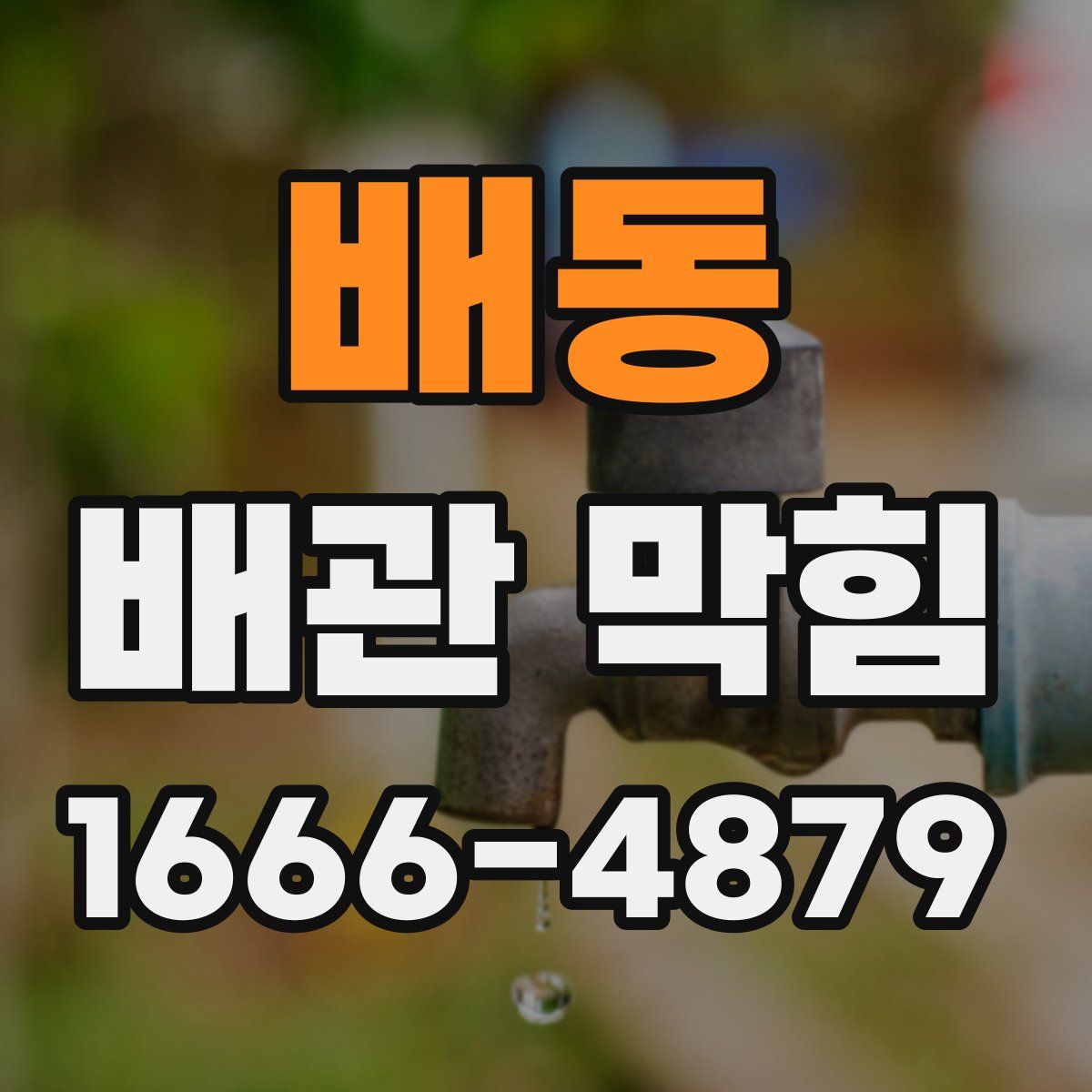 배동 배관 막힘