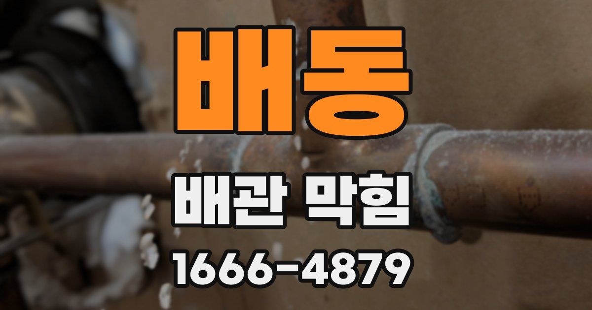배동 배관 막힘