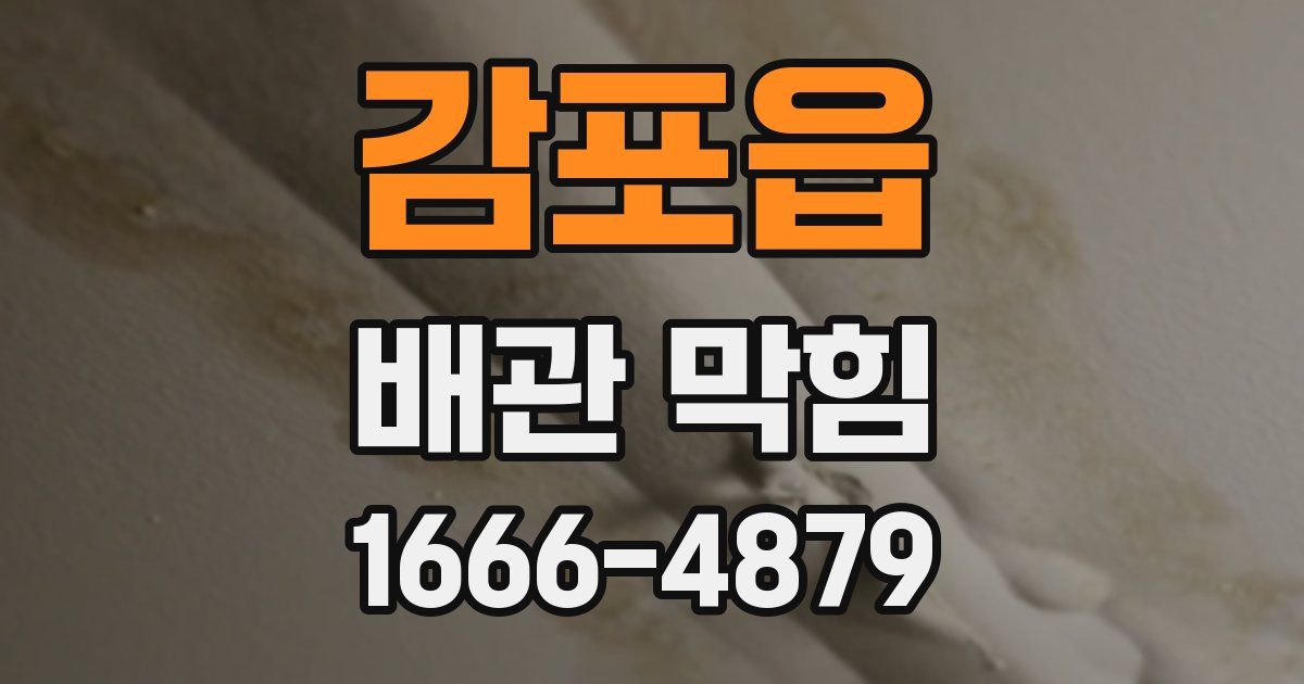 감포읍 배관 막힘