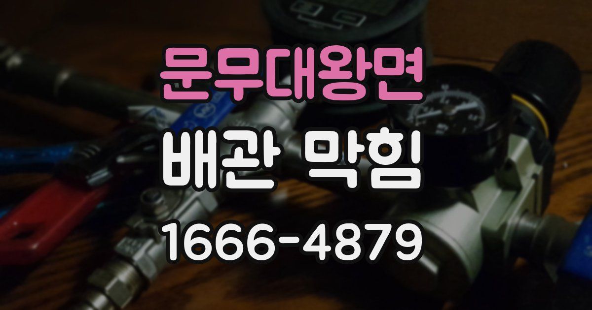 문무대왕면 배관 막힘