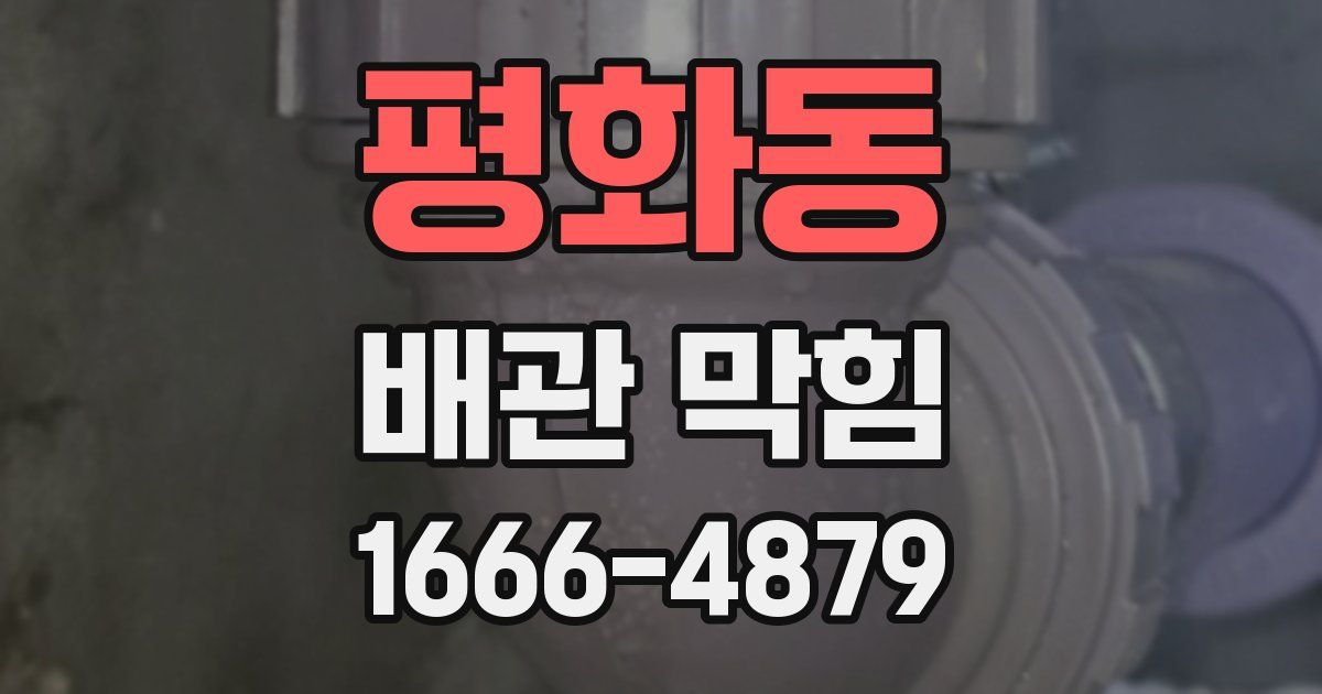 평화동 배관 막힘