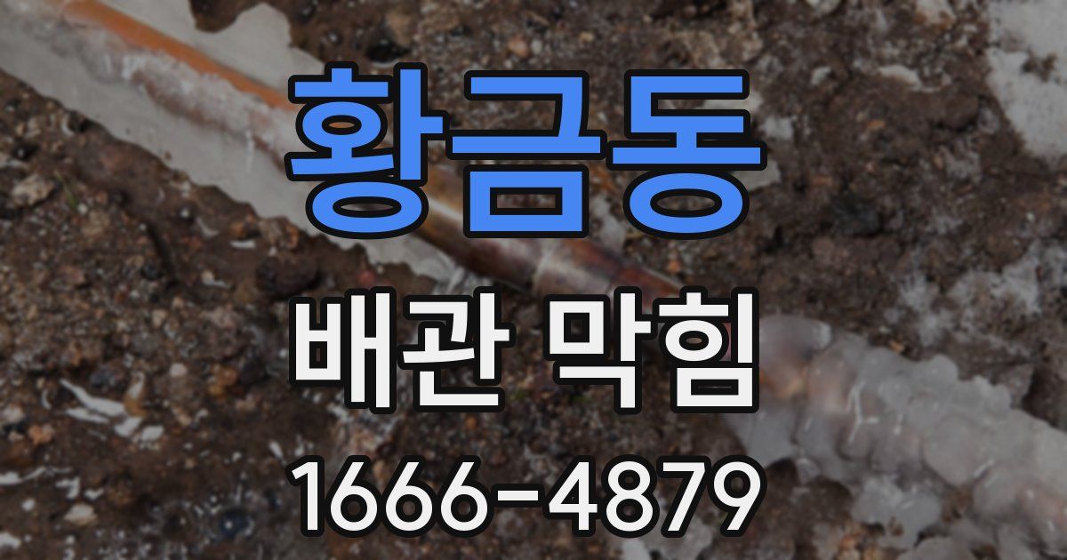 황금동 배관 막힘