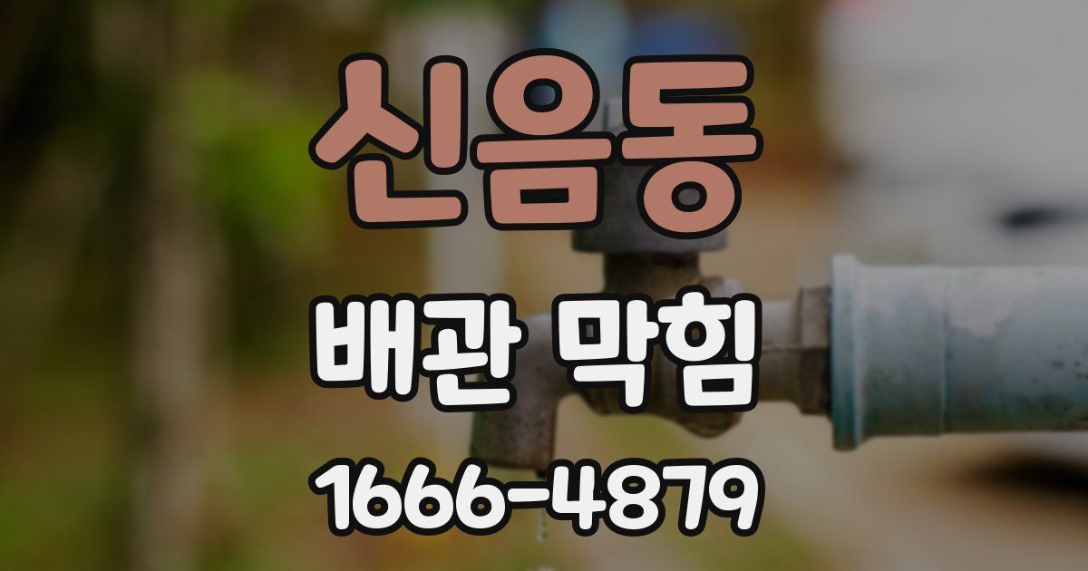 신음동 배관 막힘