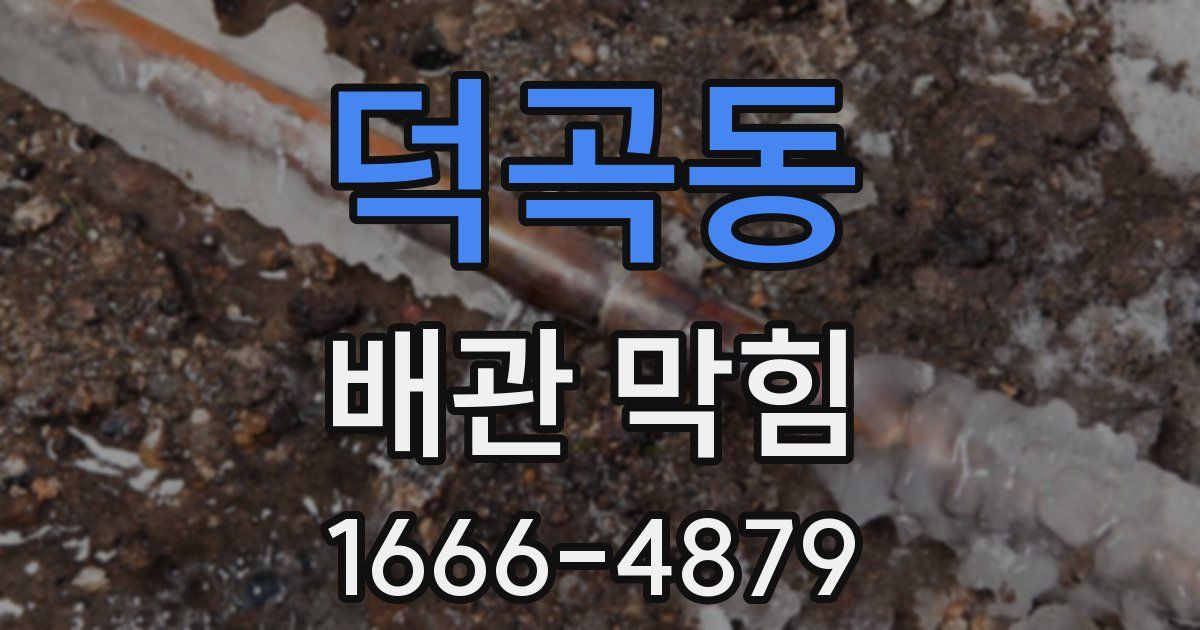 덕곡동 배관 막힘