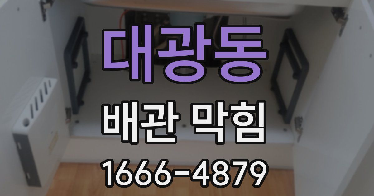 대광동 배관 막힘