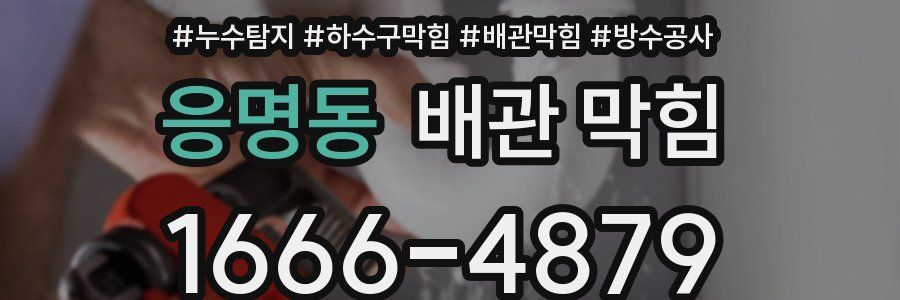 응명동 배관 막힘