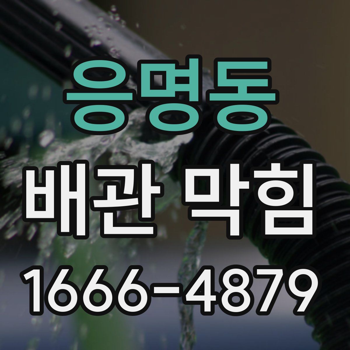 응명동 배관 막힘