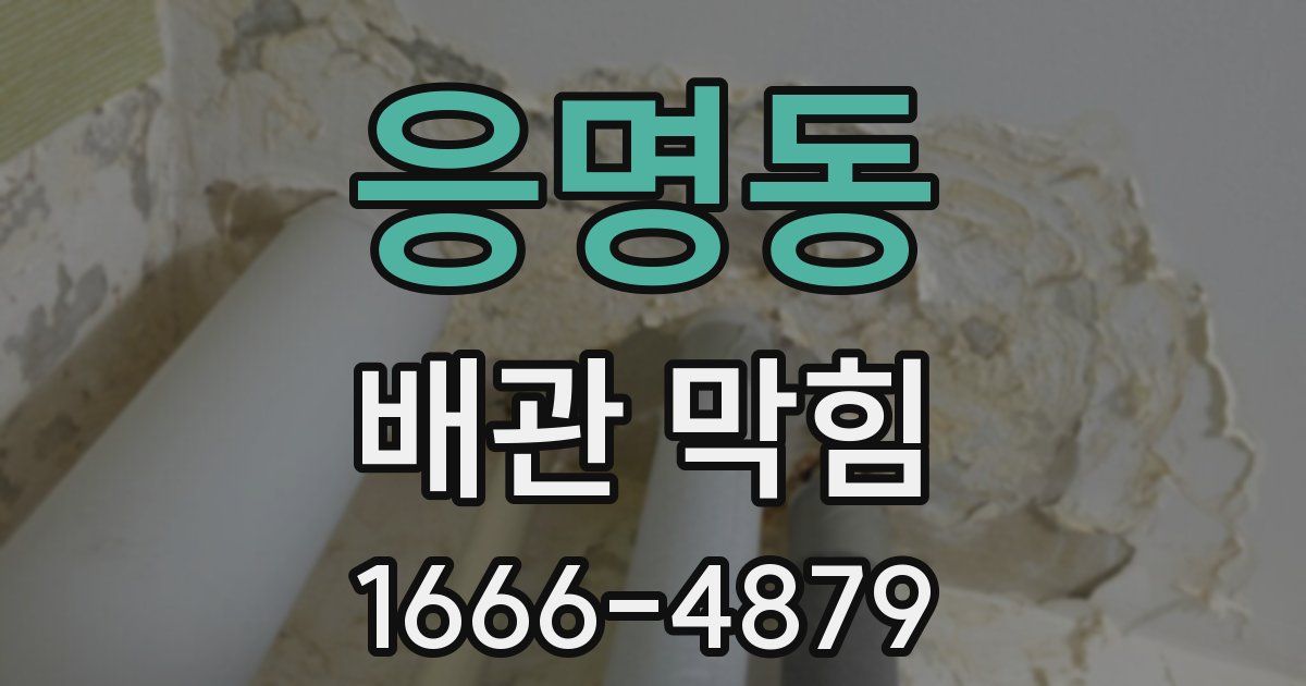 응명동 배관 막힘