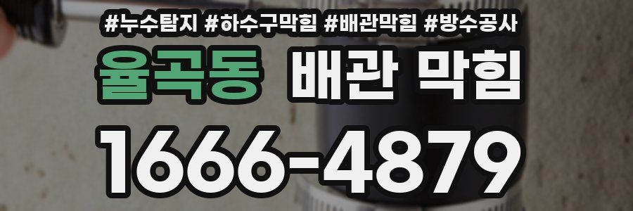 율곡동 배관 막힘
