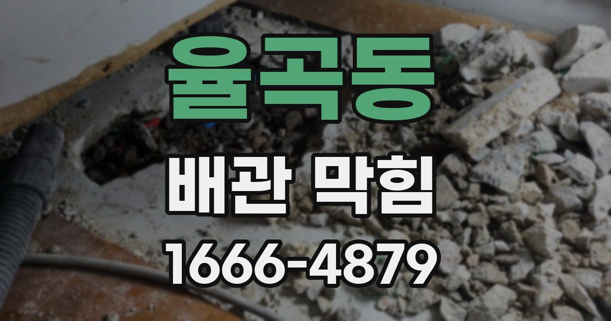 율곡동 배관 막힘