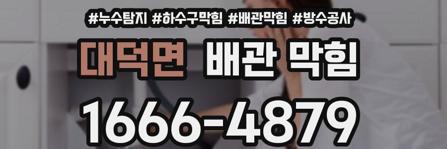 대덕면 배관 막힘