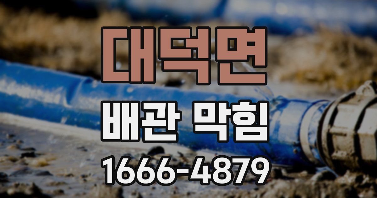 대덕면 배관 막힘