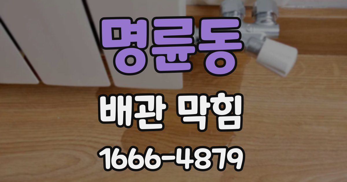 명륜동 배관 막힘