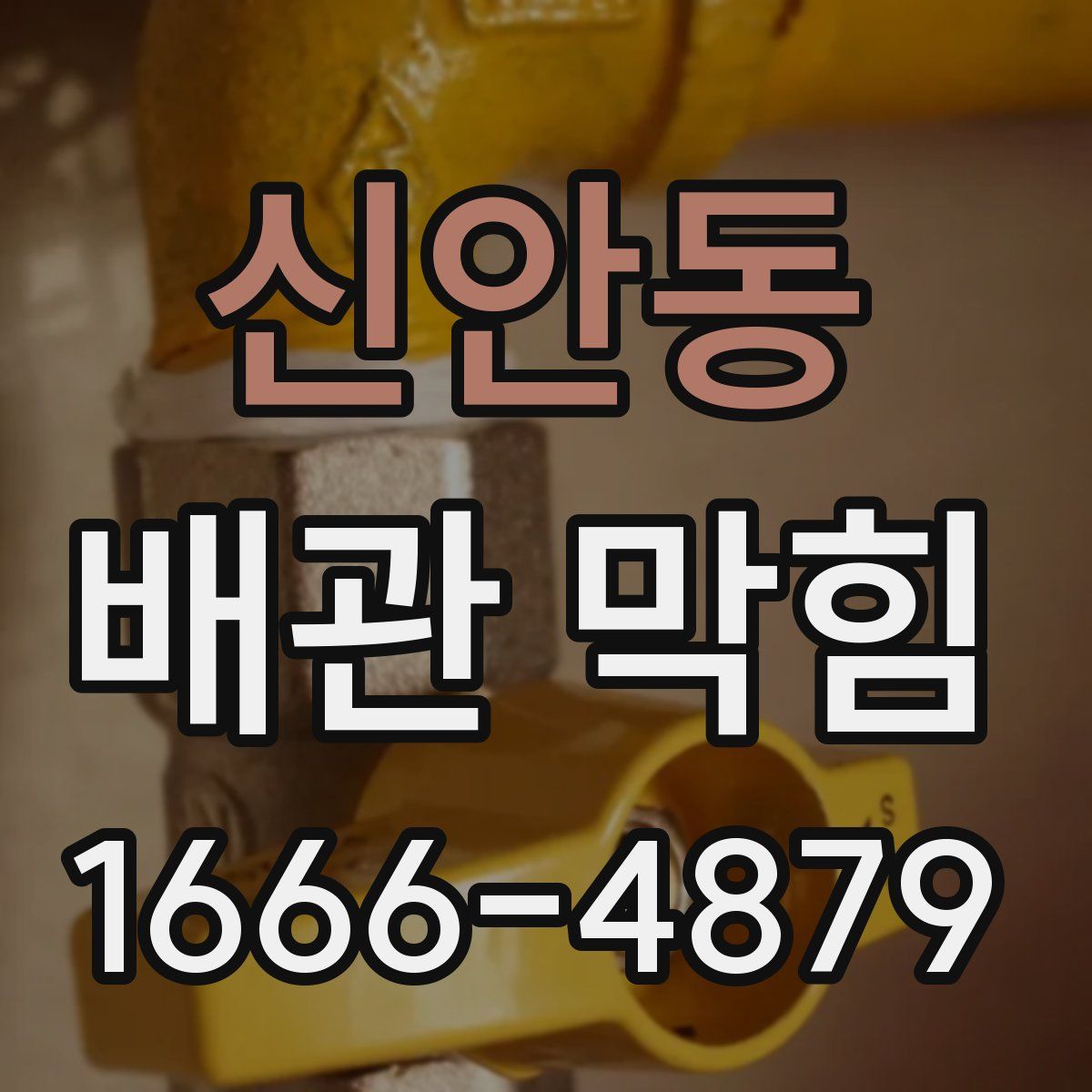 신안동 배관 막힘