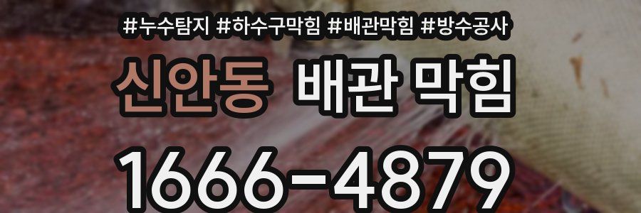 신안동 배관 막힘
