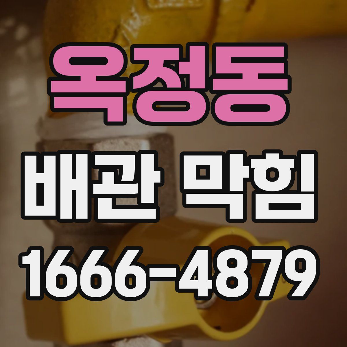 옥정동 배관 막힘