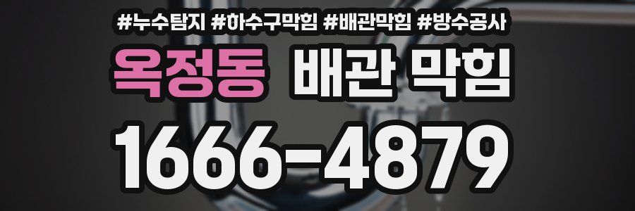 옥정동 배관 막힘