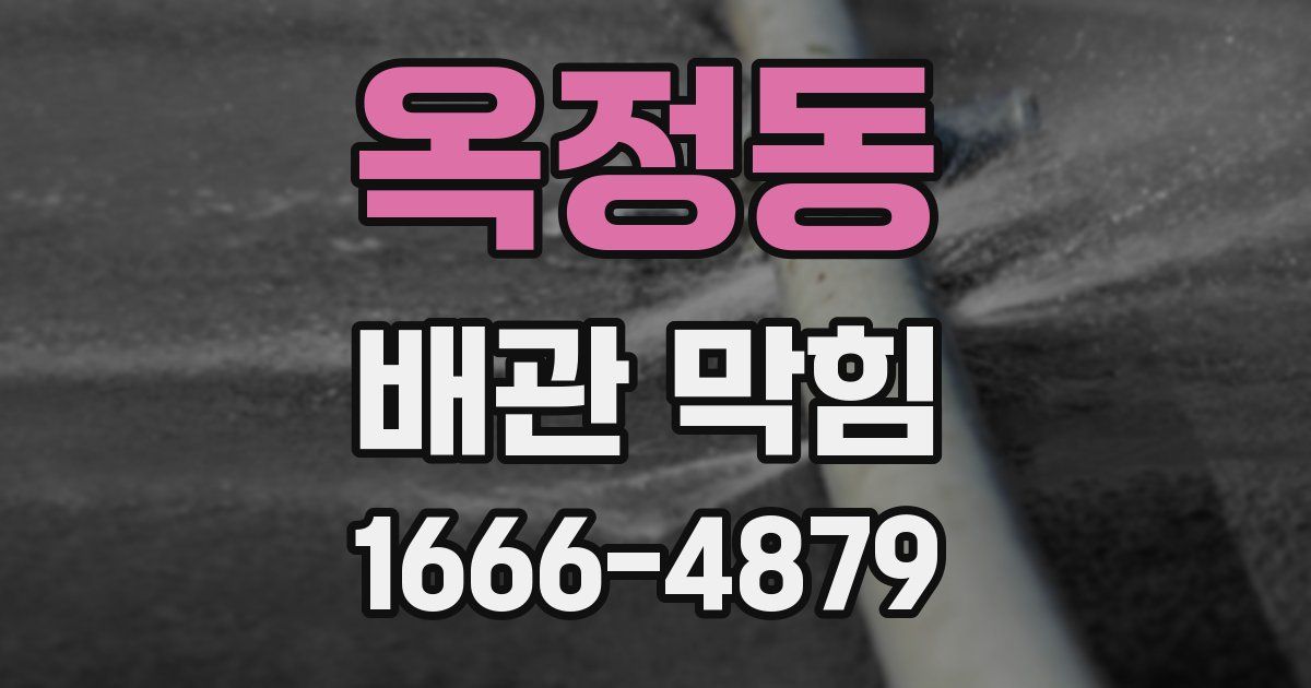 옥정동 배관 막힘