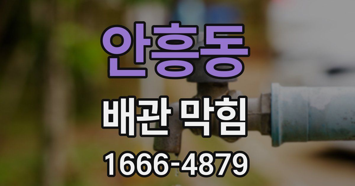 안흥동 배관 막힘