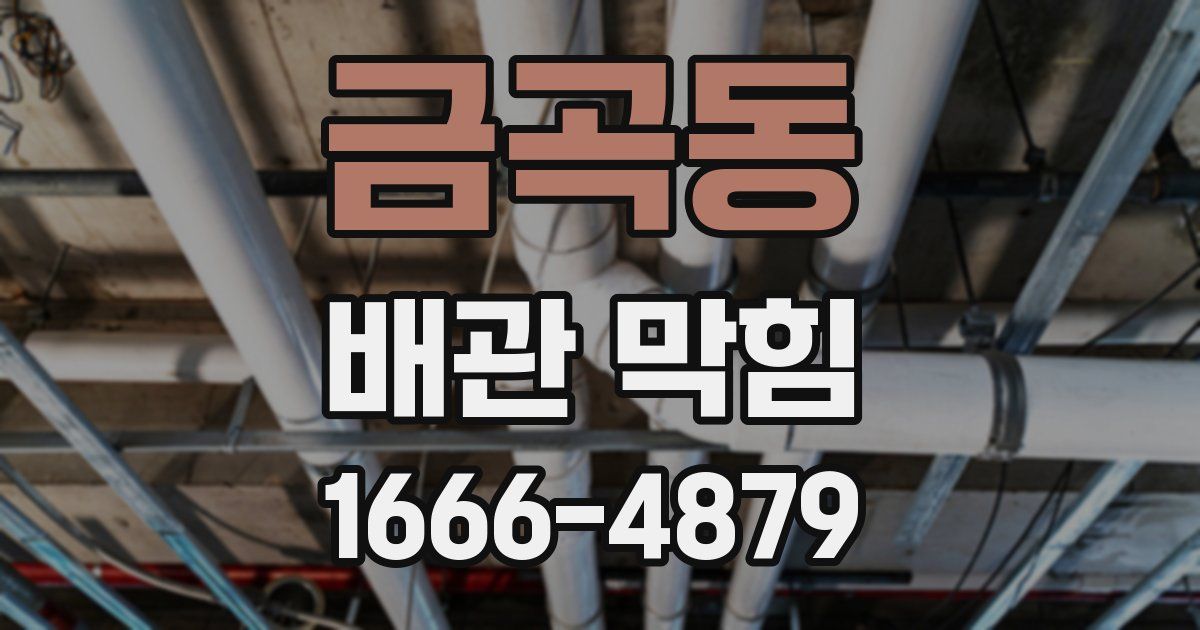 금곡동 배관 막힘