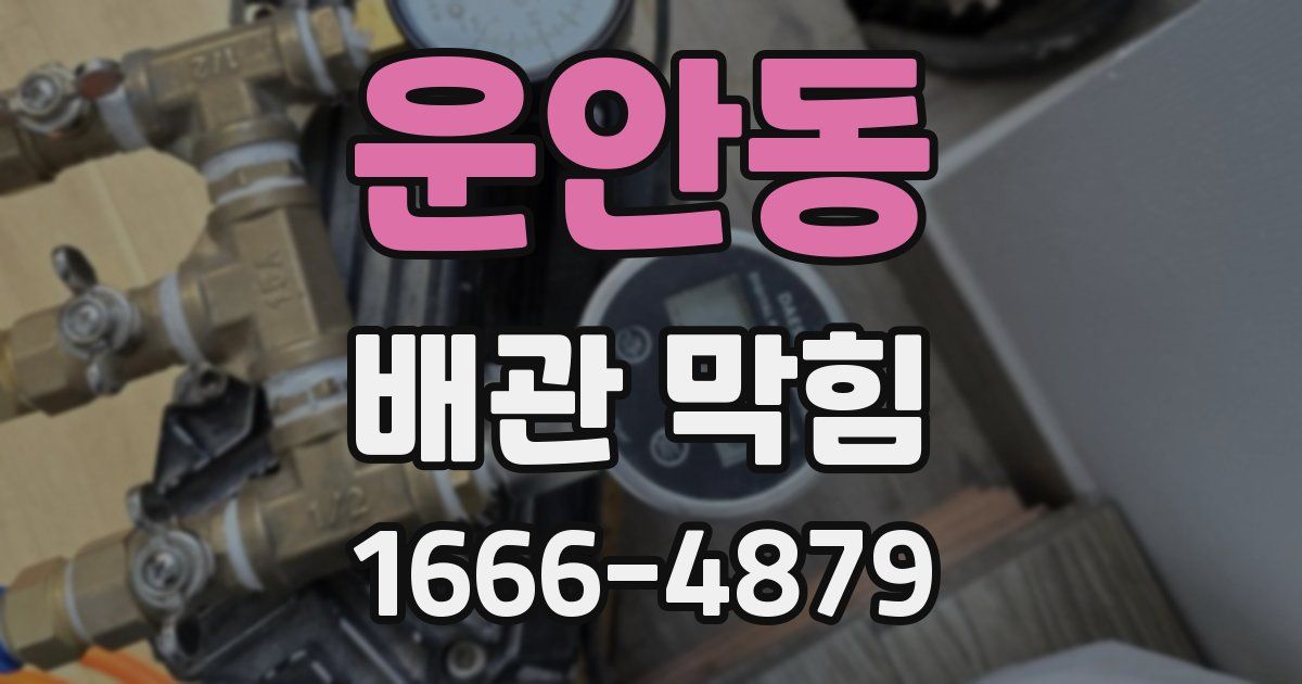 운안동 배관 막힘