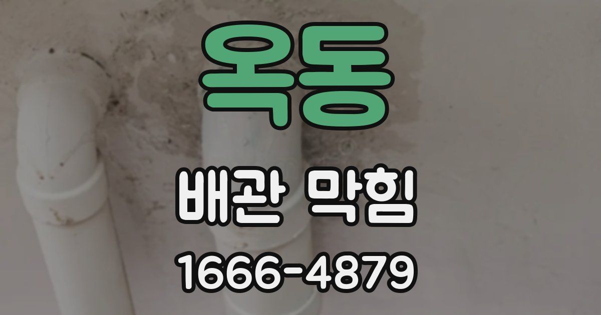 옥동 배관 막힘