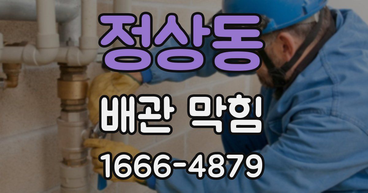 정상동 배관 막힘