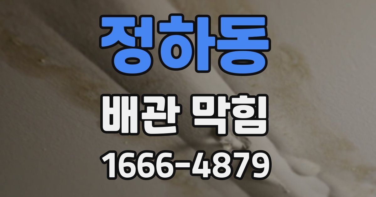 정하동 배관 막힘