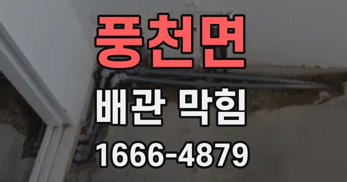 풍천면 배관 막힘