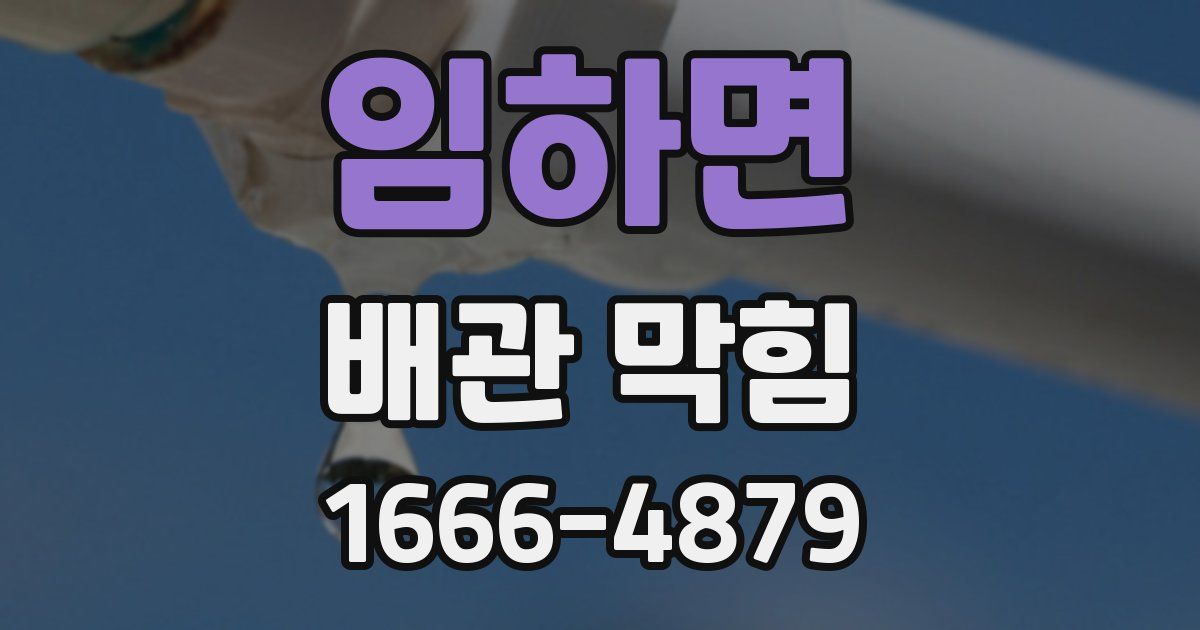 임하면 배관 막힘