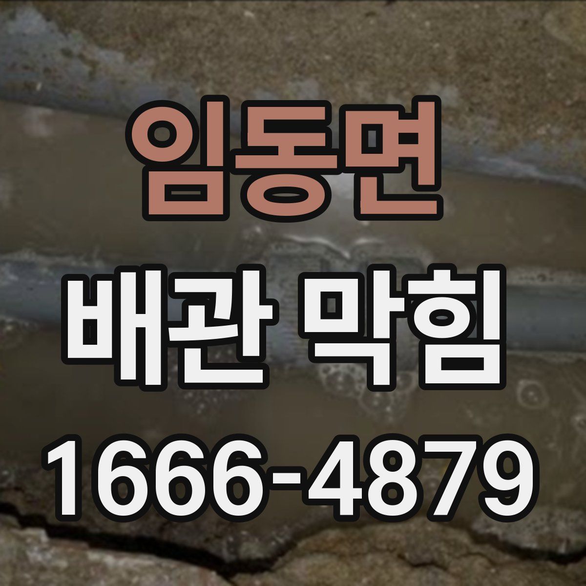 임동면 배관 막힘