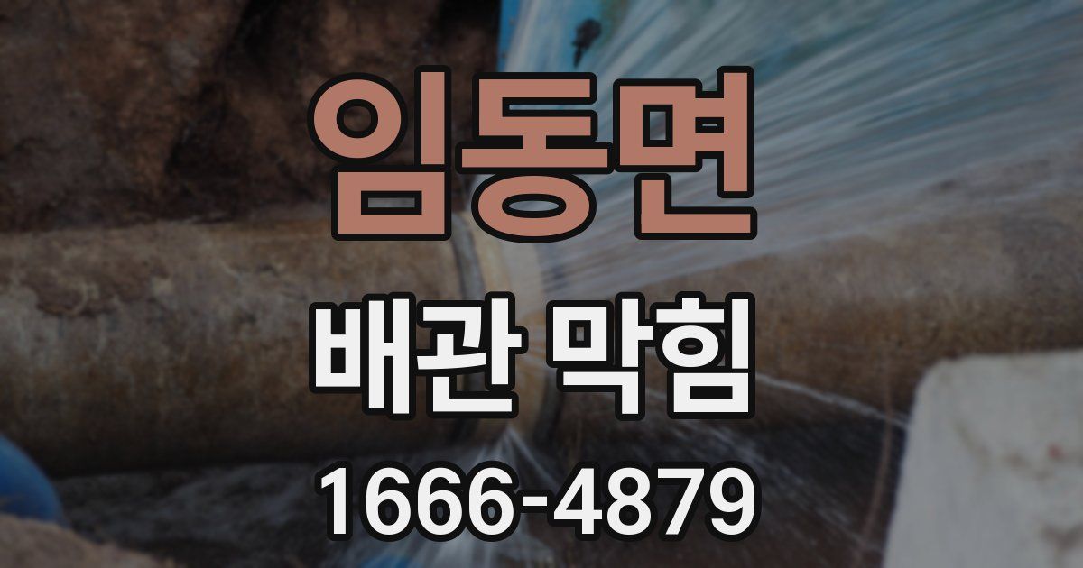 임동면 배관 막힘