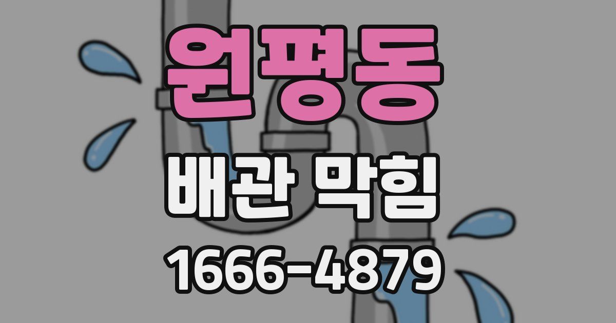 원평동 배관 막힘
