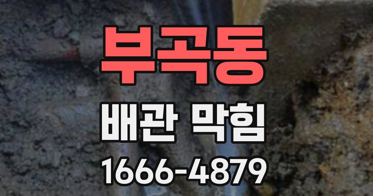 부곡동 배관 막힘