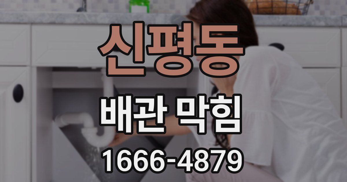 신평동 배관 막힘