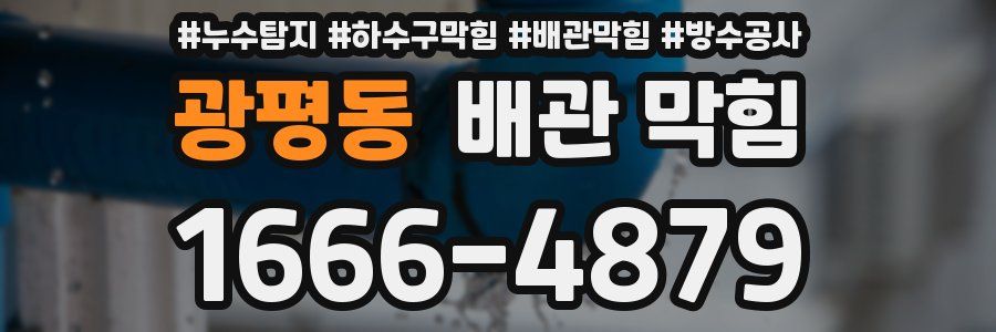 광평동 배관 막힘