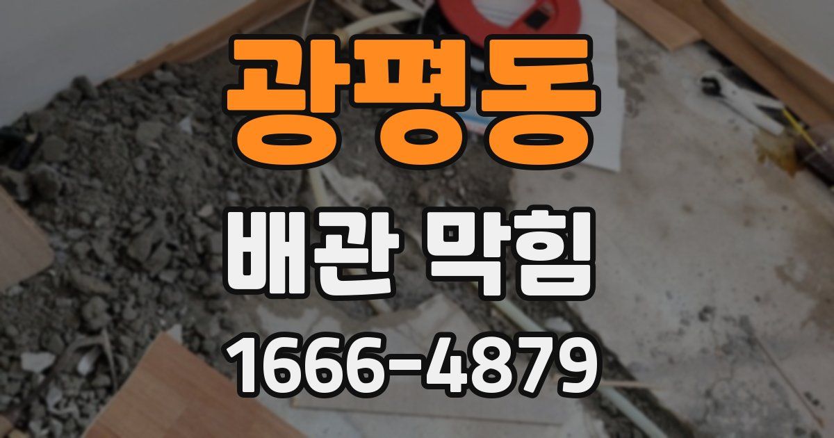 광평동 배관 막힘
