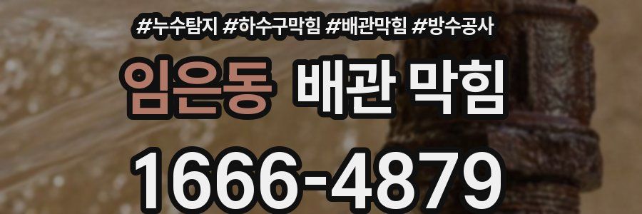 임은동 배관 막힘