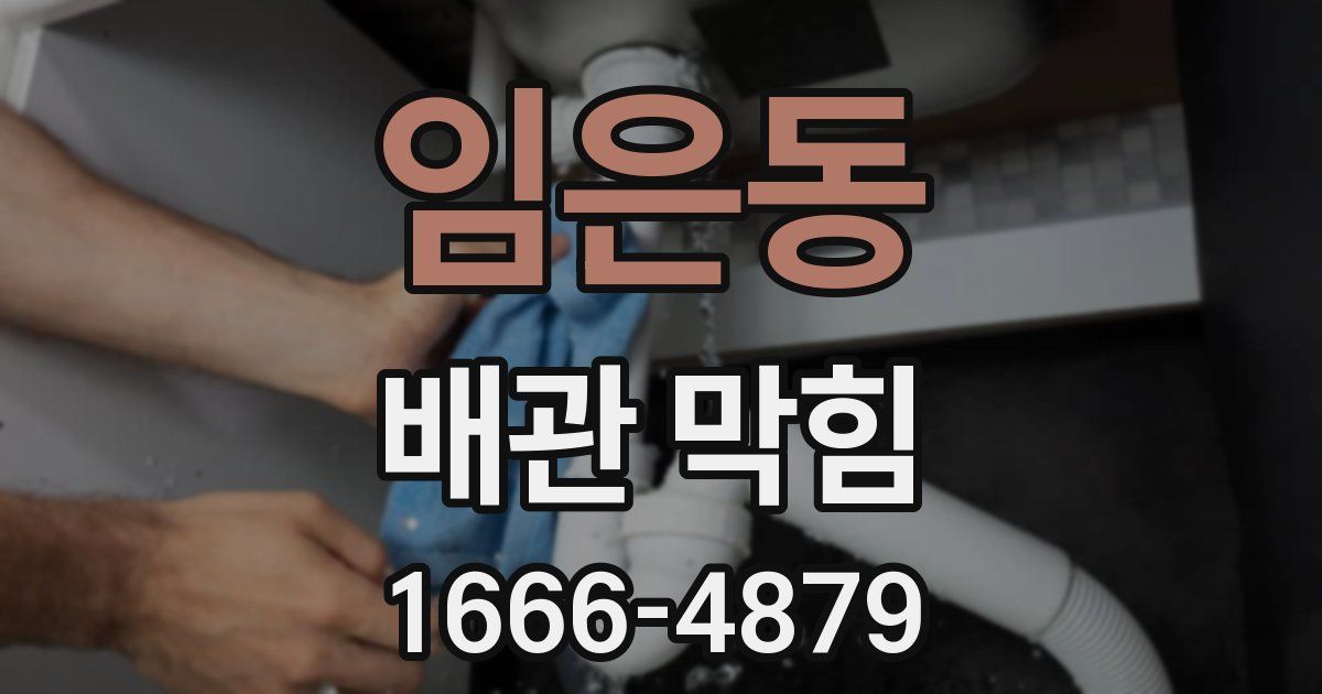임은동 배관 막힘