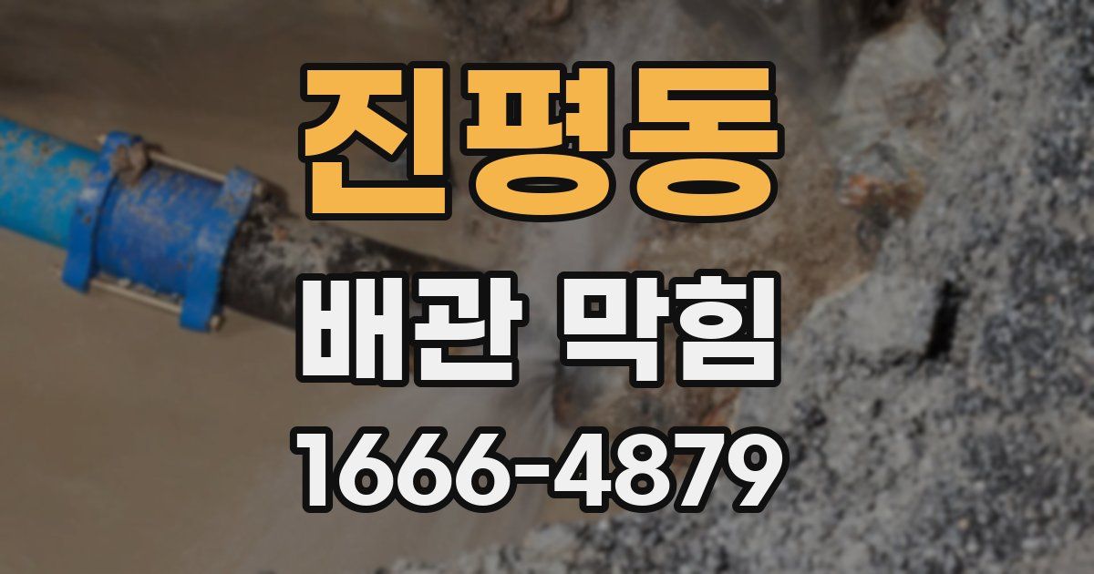 진평동 배관 막힘