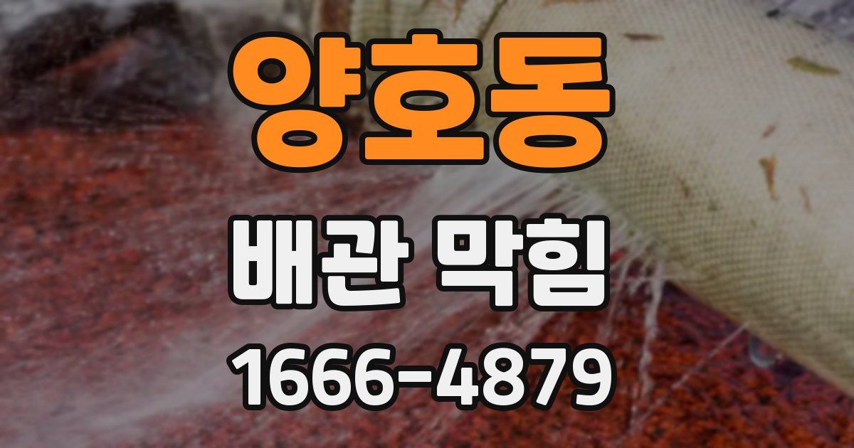 양호동 배관 막힘